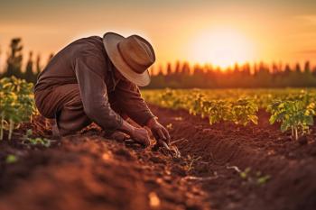 lavoratore-lavoro-agricolo-agricoltore-campo-sole-caldo-calore-immagine-generata-con-intelligenza-artificiale-by-siqarus-adobe-stock-1200x800.jpeg
